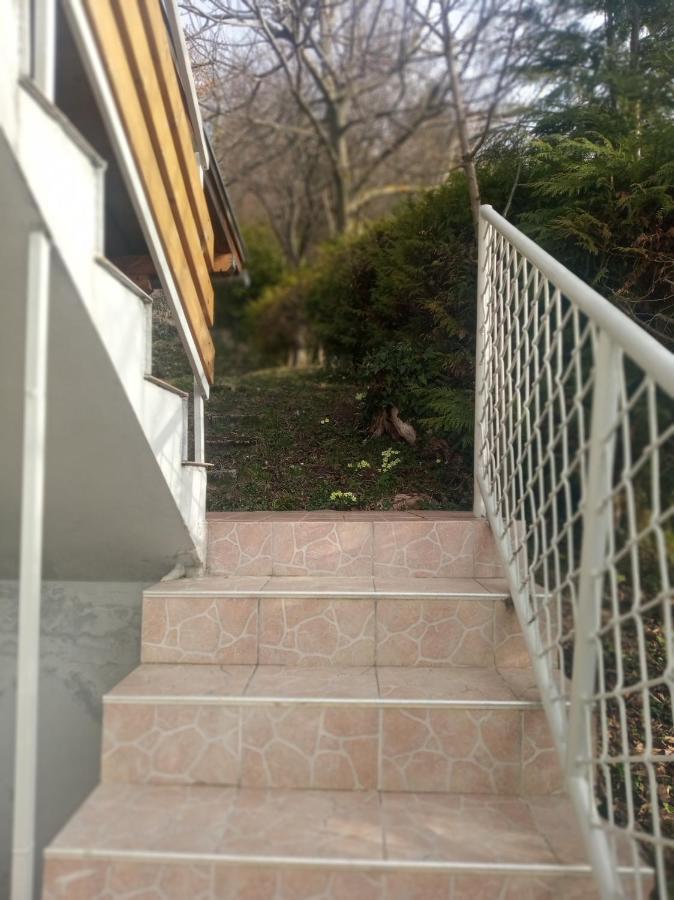 Holiday Home Nature Plesivica ヤストレバースコ エクステリア 写真