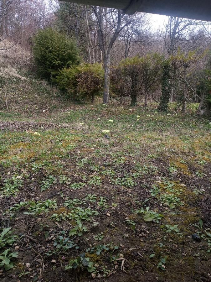 Holiday Home Nature Plesivica ヤストレバースコ エクステリア 写真