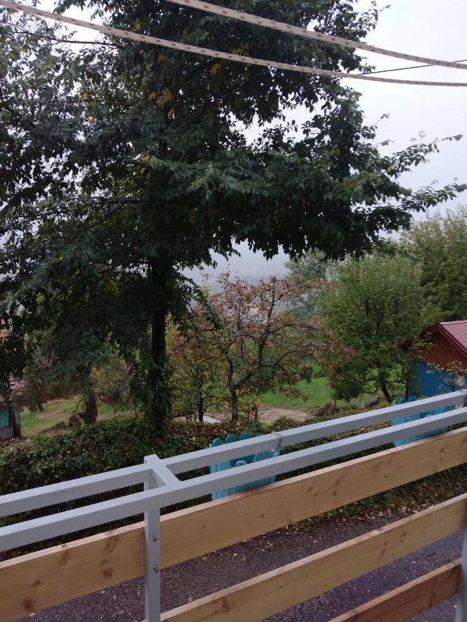 Holiday Home Nature Plesivica ヤストレバースコ エクステリア 写真
