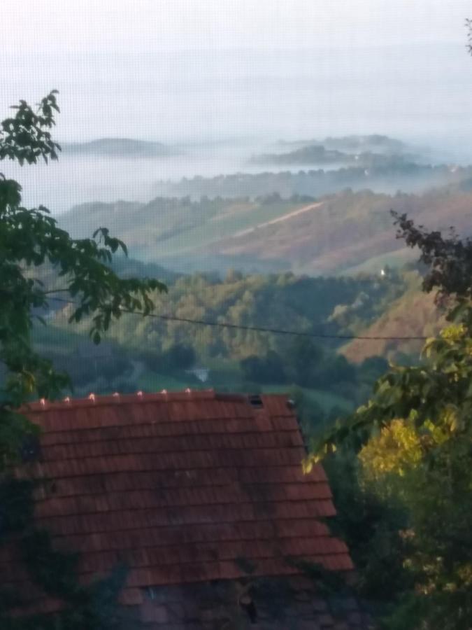 Holiday Home Nature Plesivica ヤストレバースコ エクステリア 写真