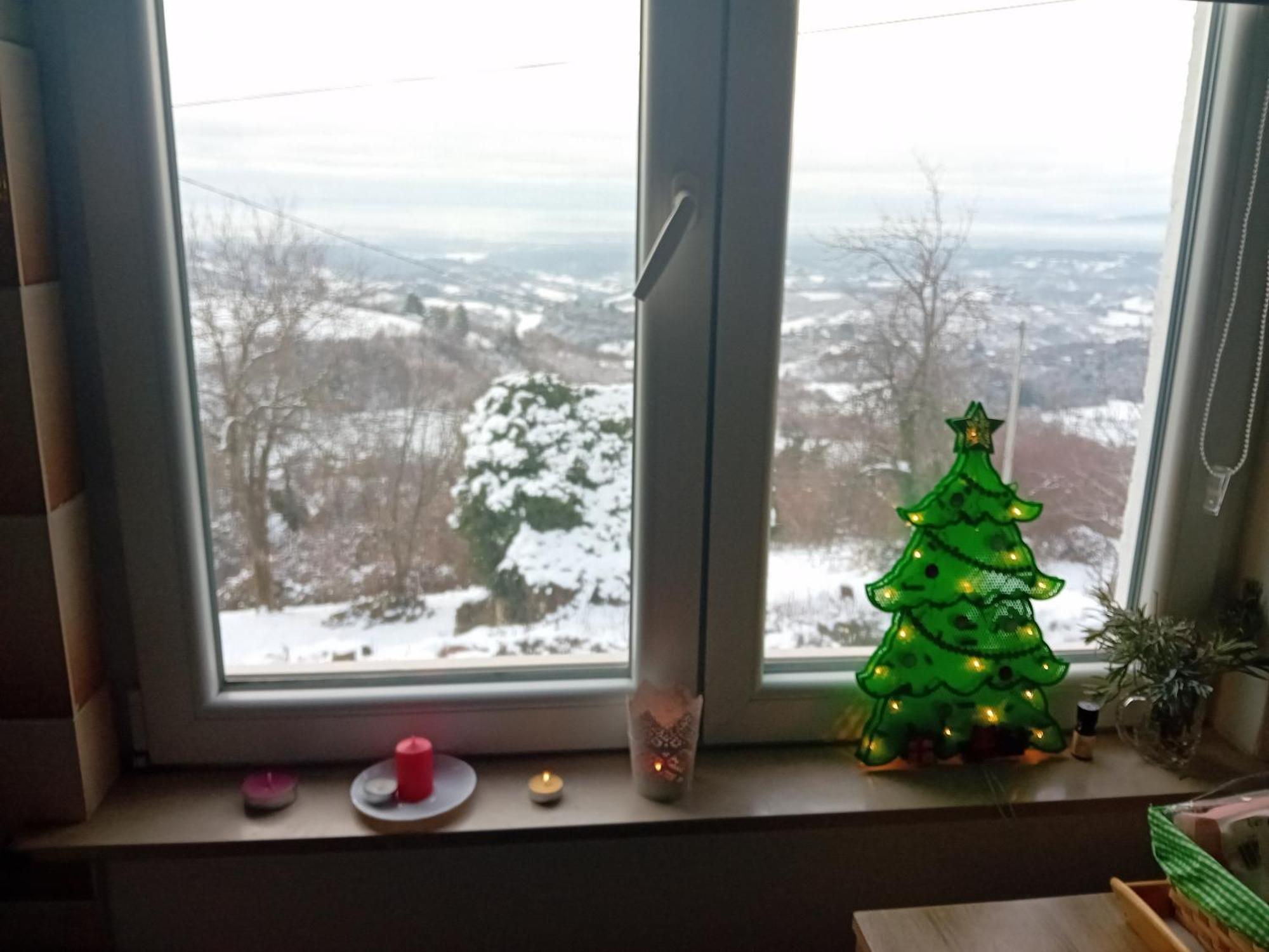 Holiday Home Nature Plesivica ヤストレバースコ エクステリア 写真